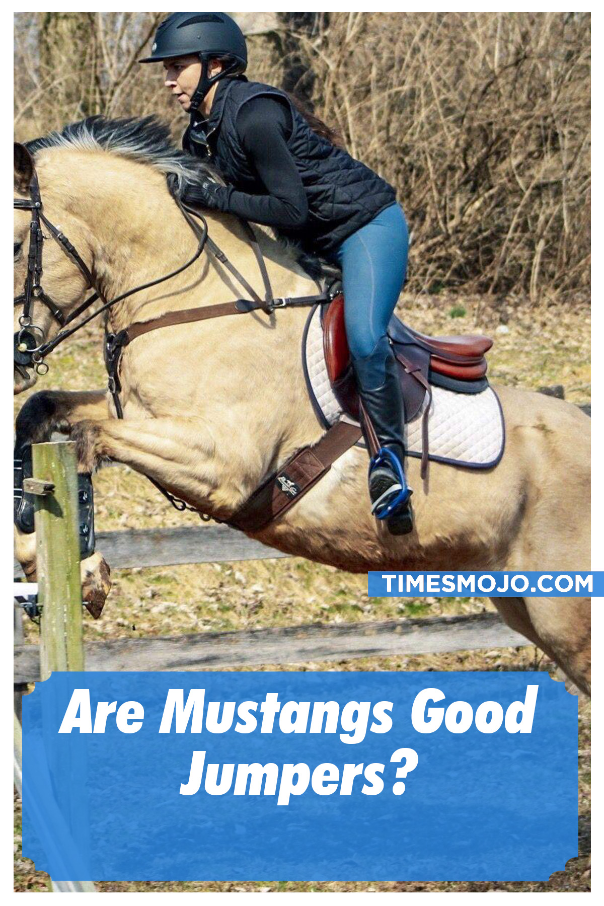 Are Mustangs Good Jumpers