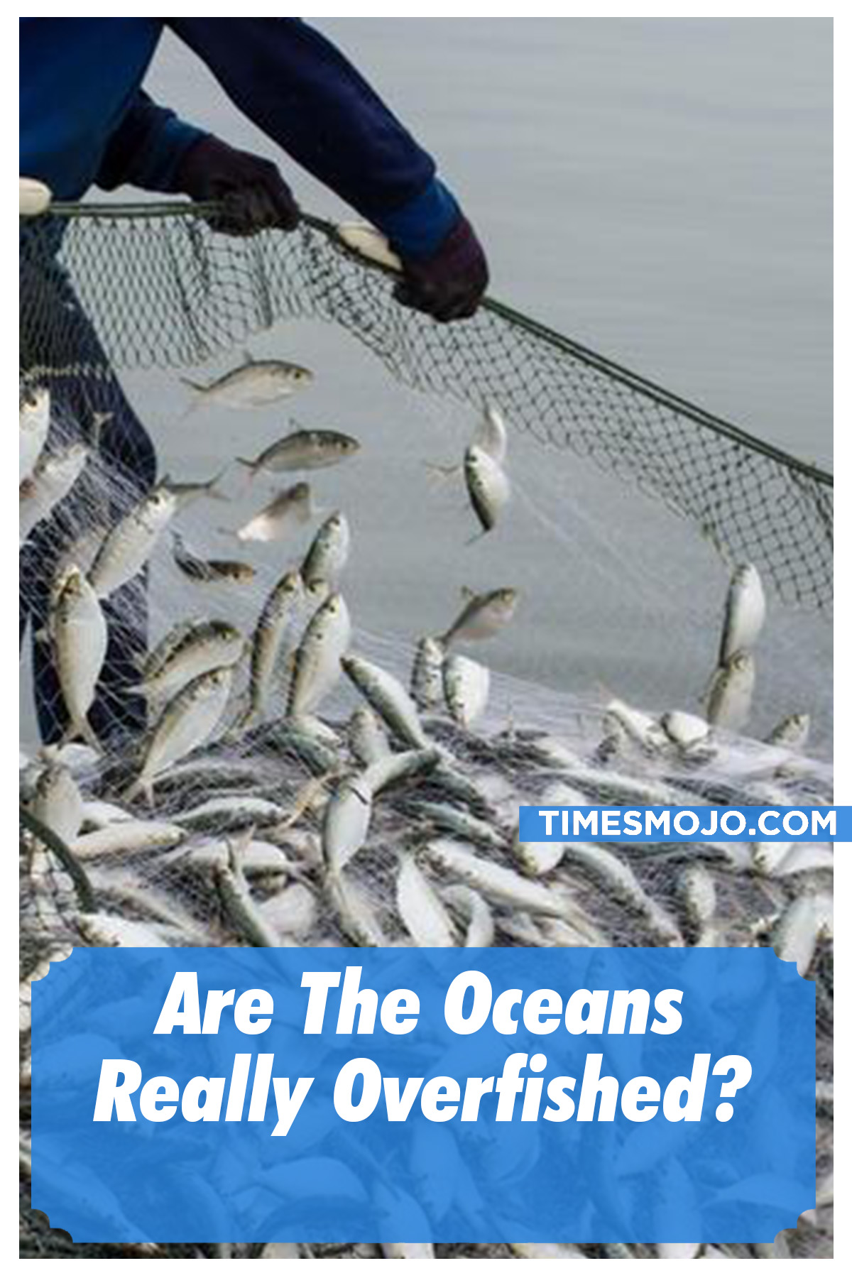 Are The Oceans Really Overfished