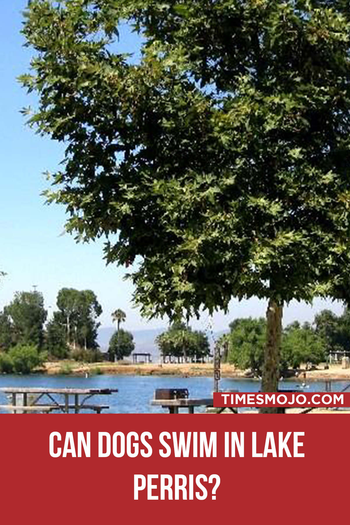 Can Dogs Swim In Lake Perris