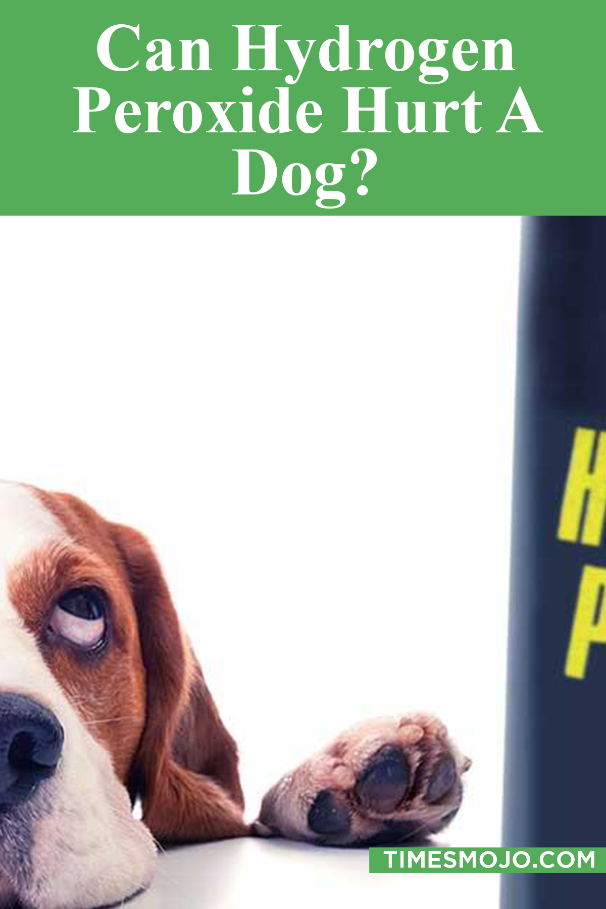 Can hydrogen peroxide hurt a dog? TimesMojo