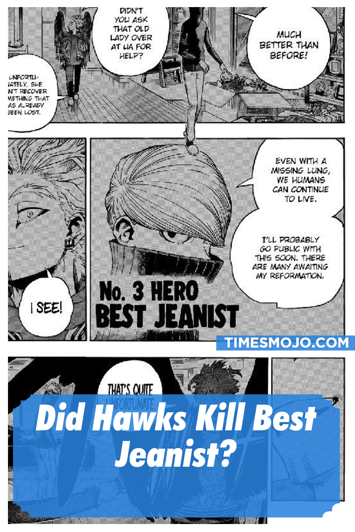 Did Hawks Kill Best Jeanist