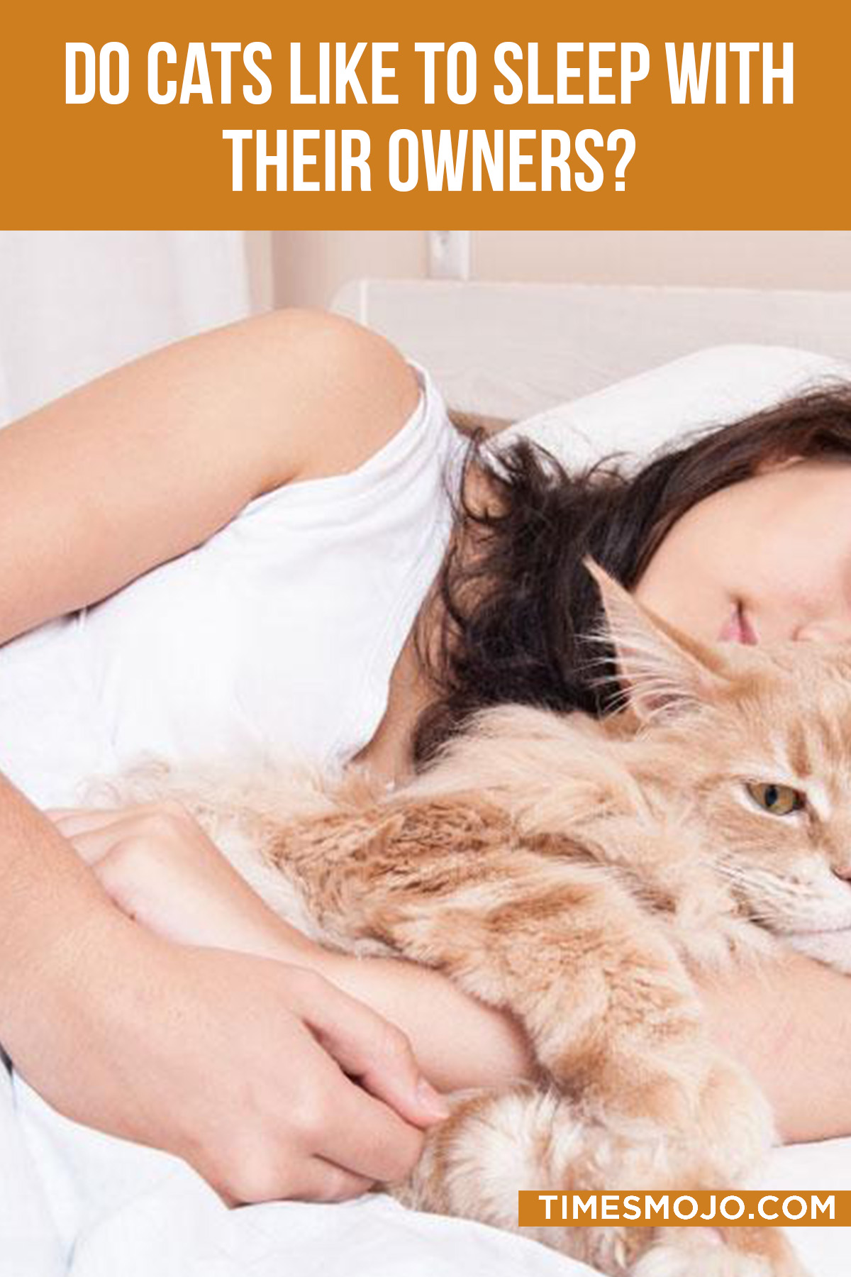 Do Cats Like To Sleep With Their Owners