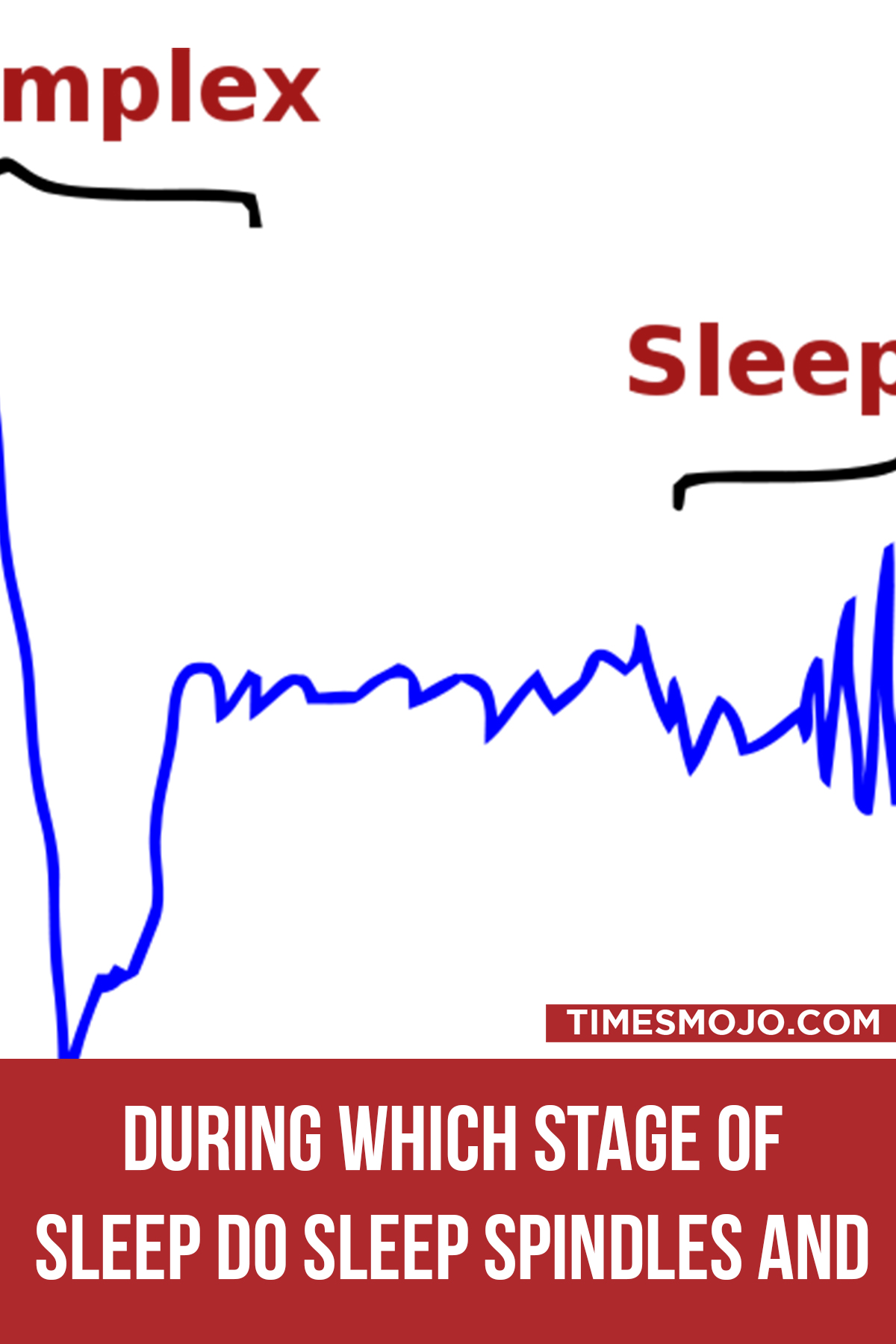 During Which Stage Of Sleep Do Sleep Spindles And K Complexes Appear