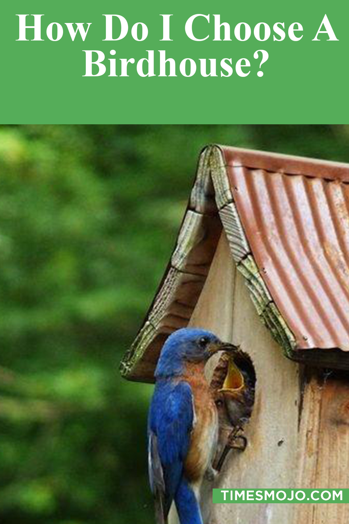 How Do I Choose A Birdhouse