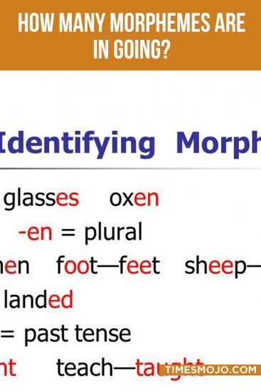 how-many-morphemes-are-in-going-timesmojo