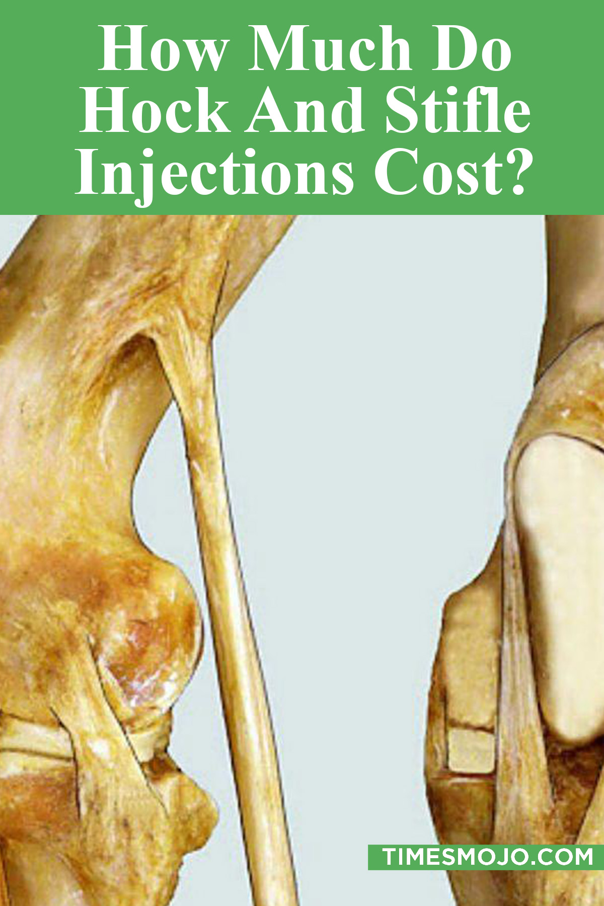 How Much Do Hock And Stifle Injections Cost