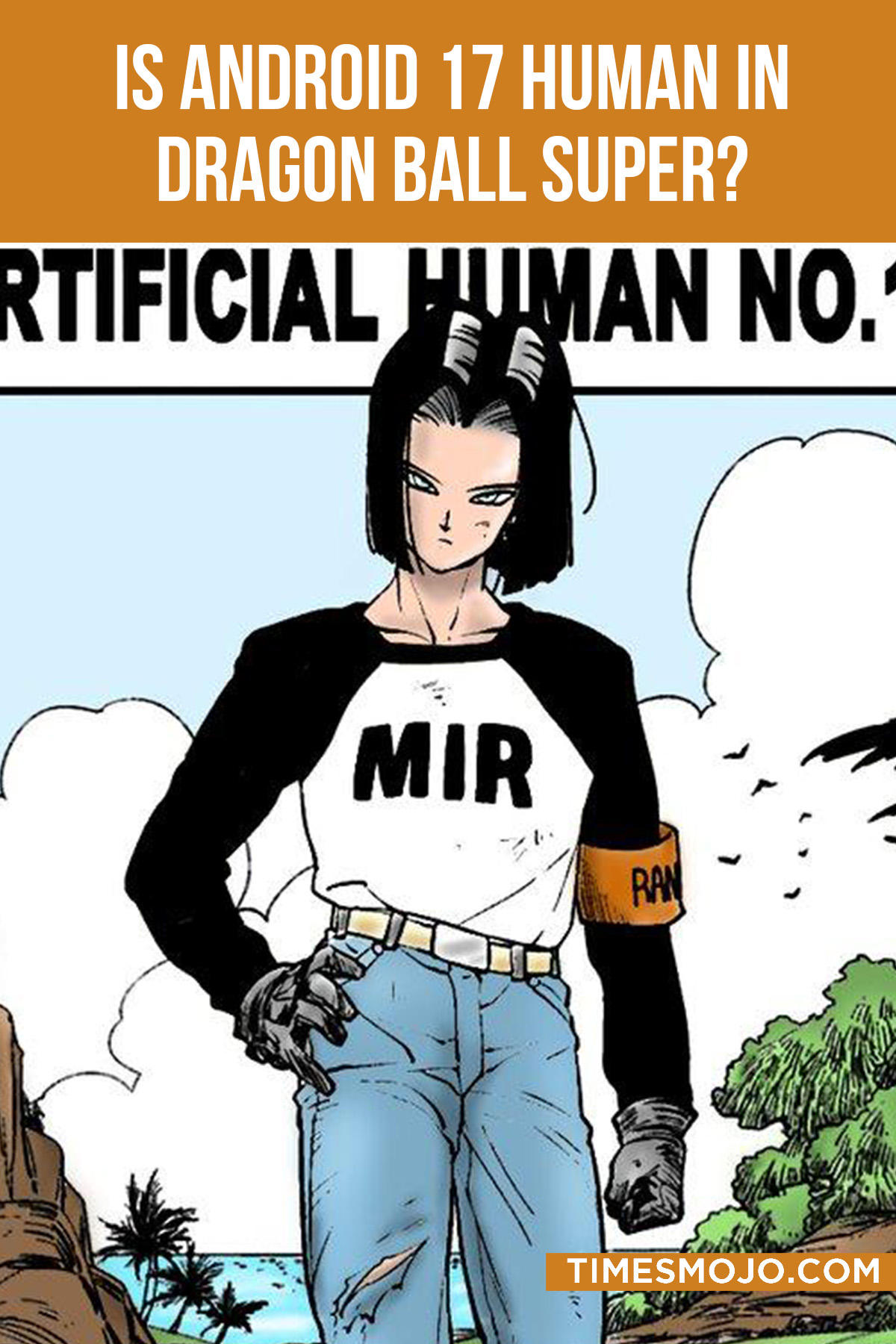 Is Android 17 Human In Dragon Ball Super