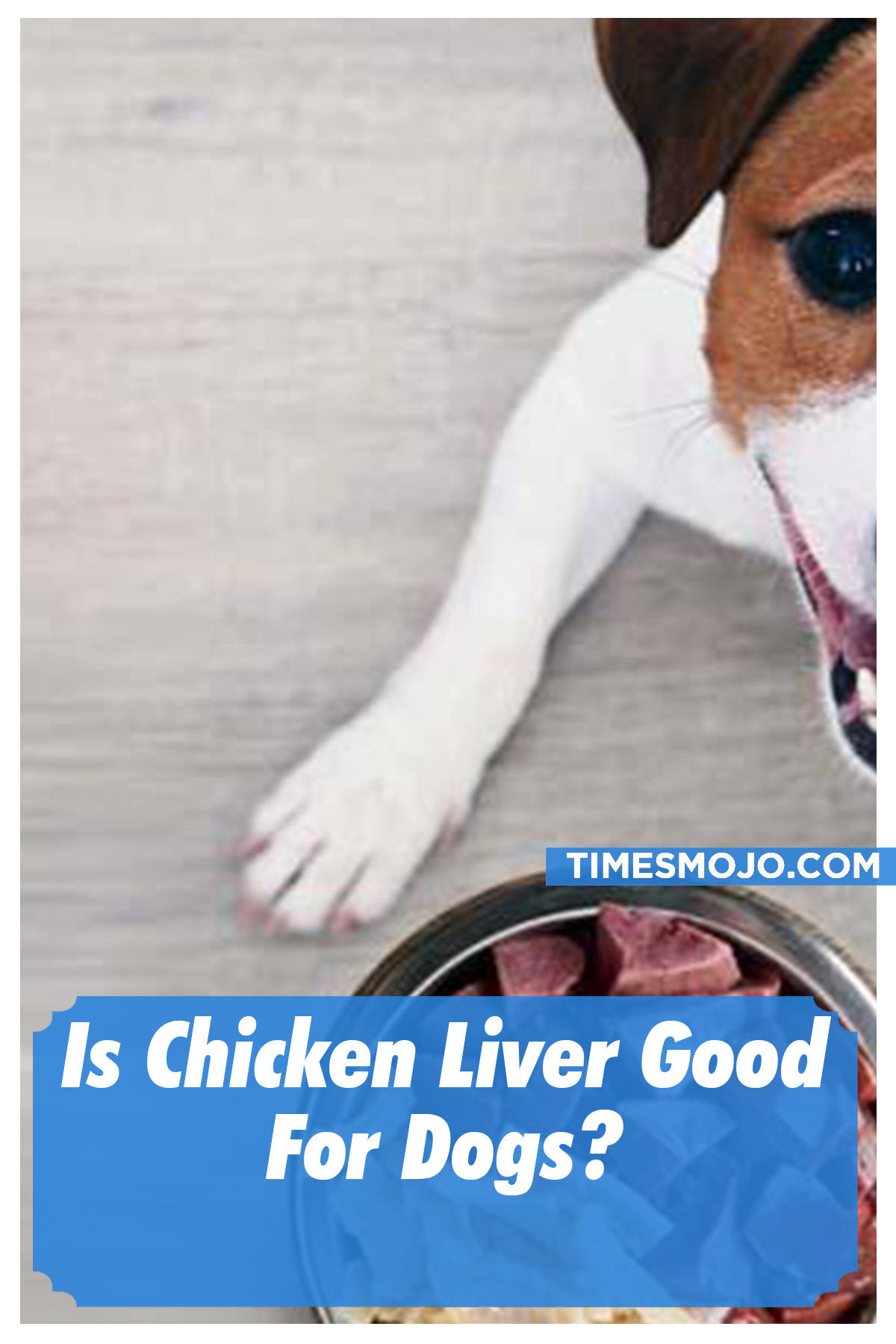 Is Chicken Liver Good For Dogs