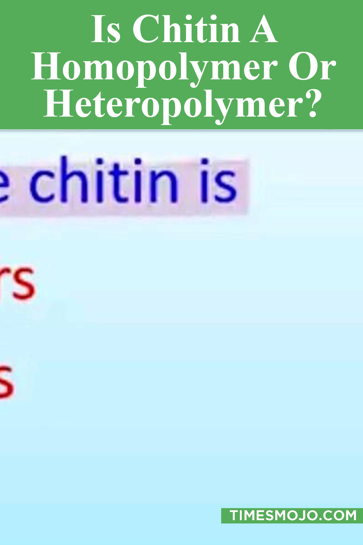 Is Chitin A Homopolymer Or Heteropolymer