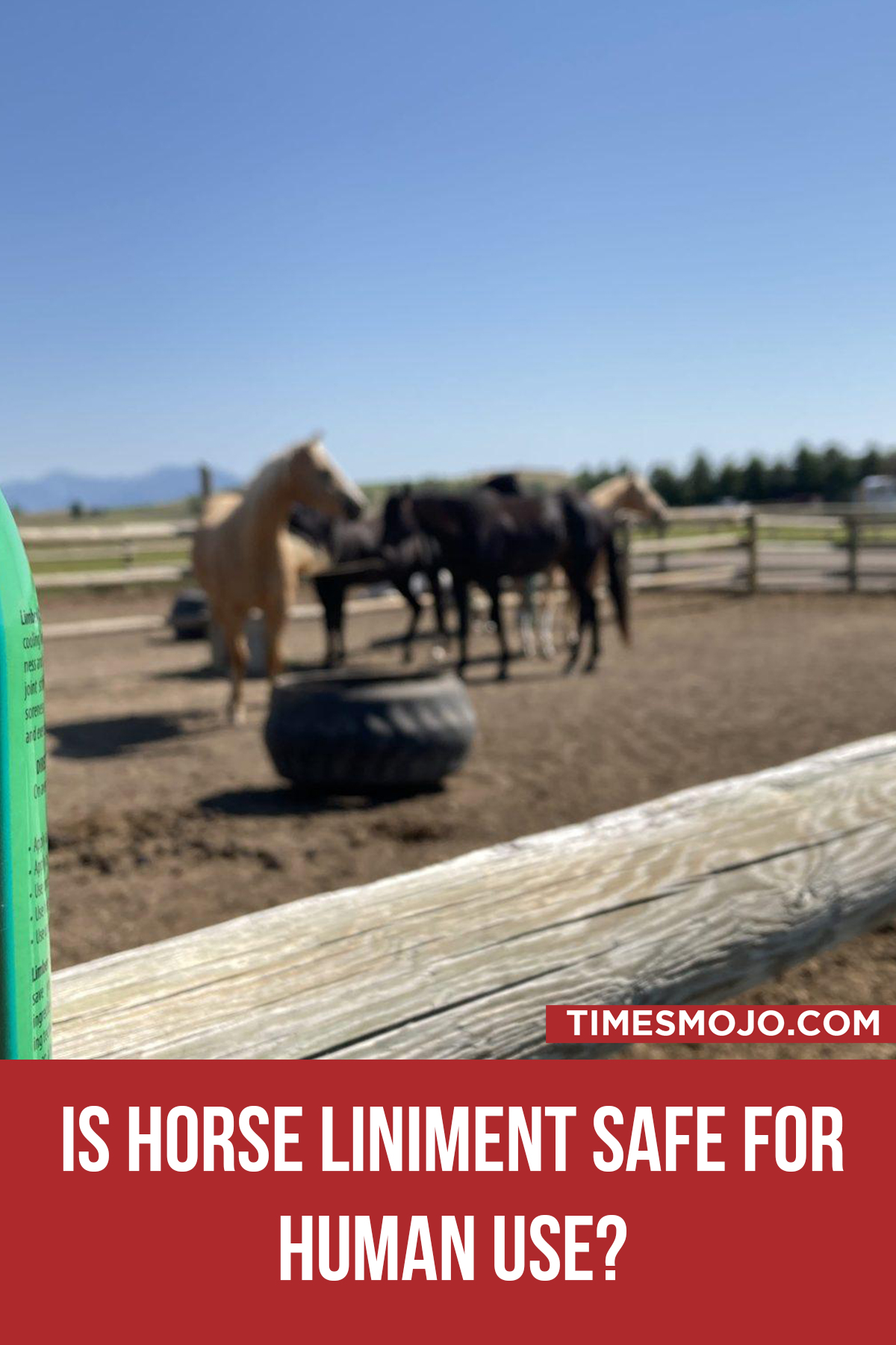 Is Horse Liniment Safe For Human Use