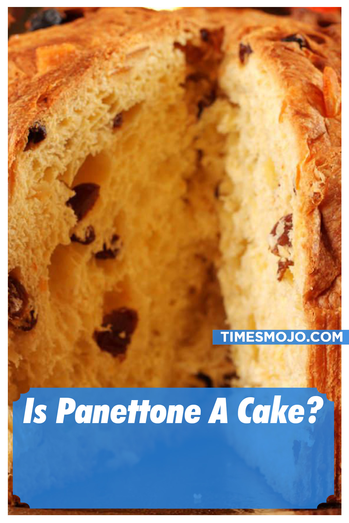 Is Panettone A Cake