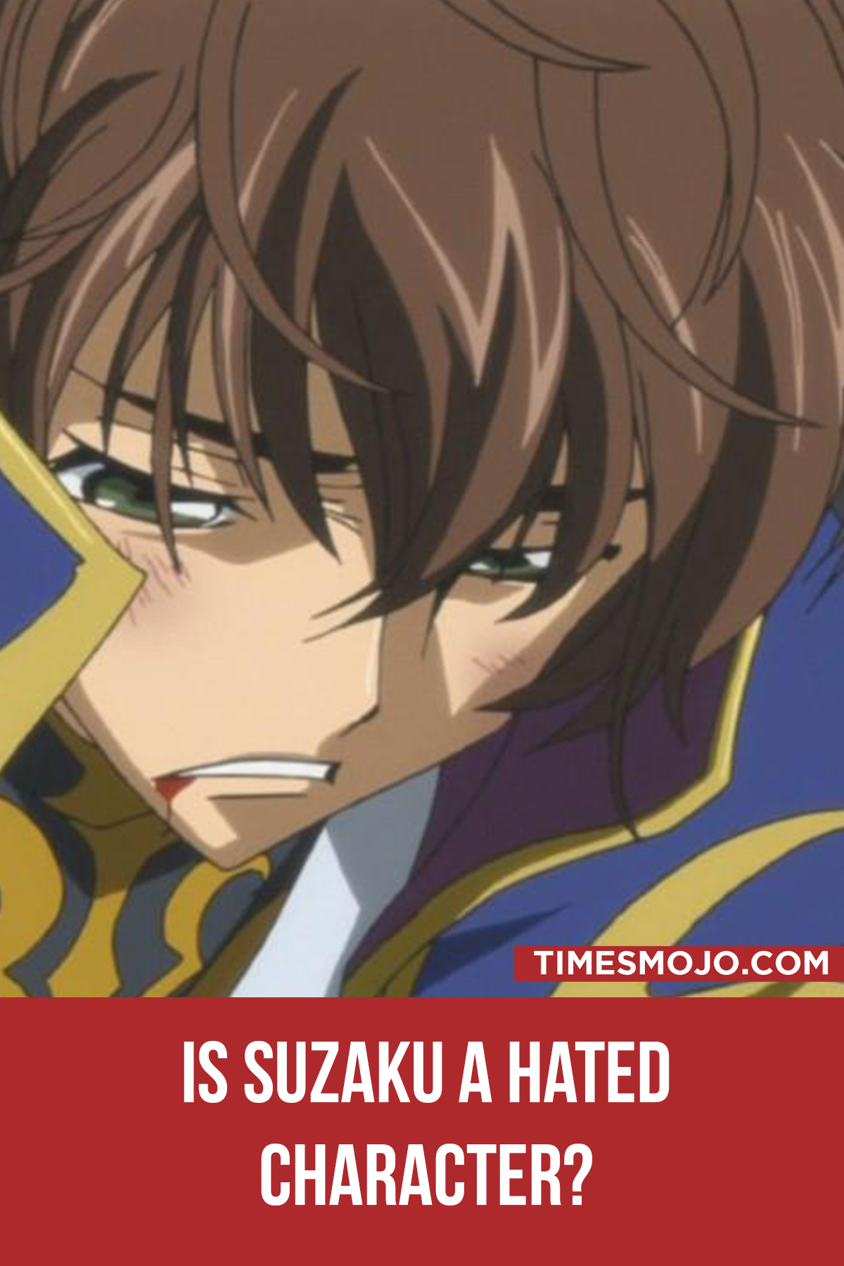 Is Suzaku A Hated Character