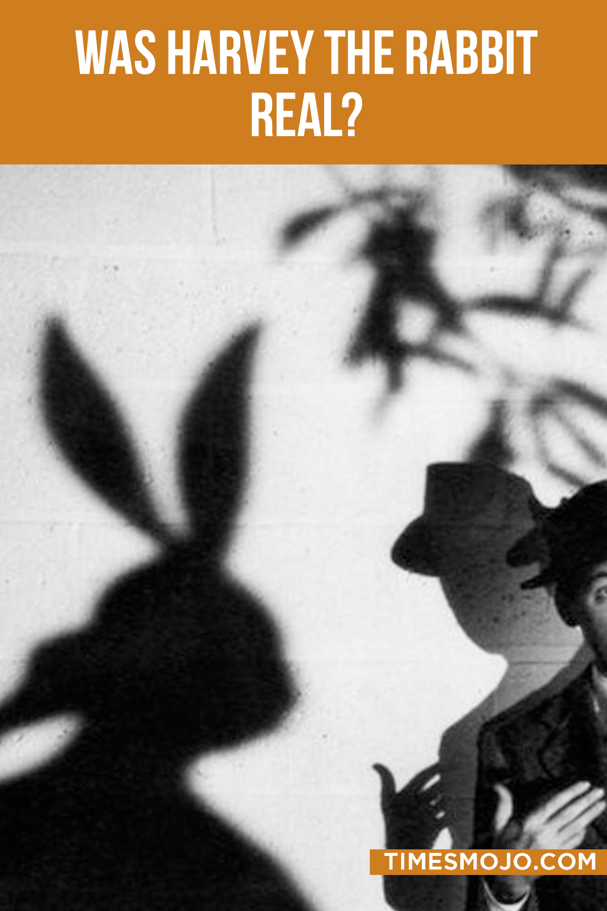 Was Harvey The Rabbit Real? - Timesmojo Investigates