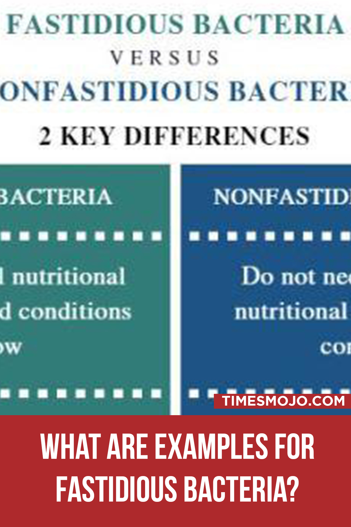 What Are Examples For Fastidious Bacteria