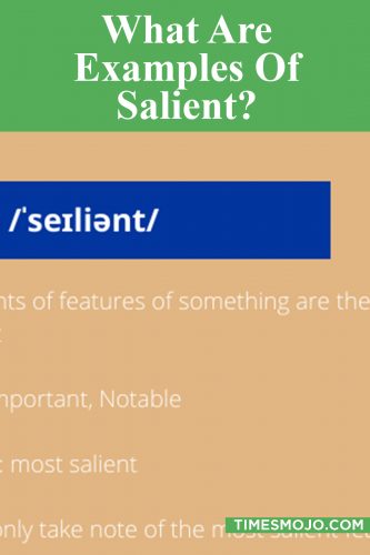 what-are-examples-of-salient-timesmojo