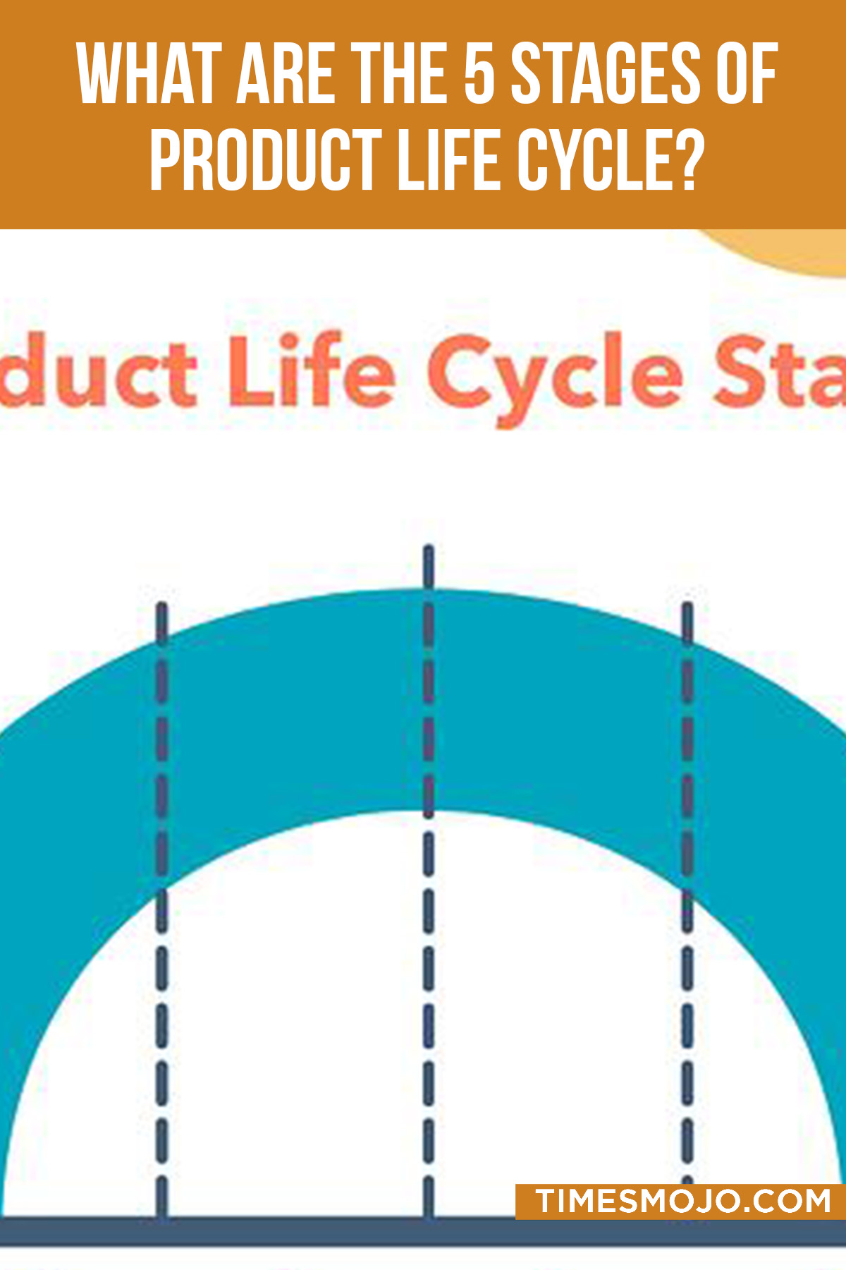 What Are The 5 Stages Of Product Life Cycle