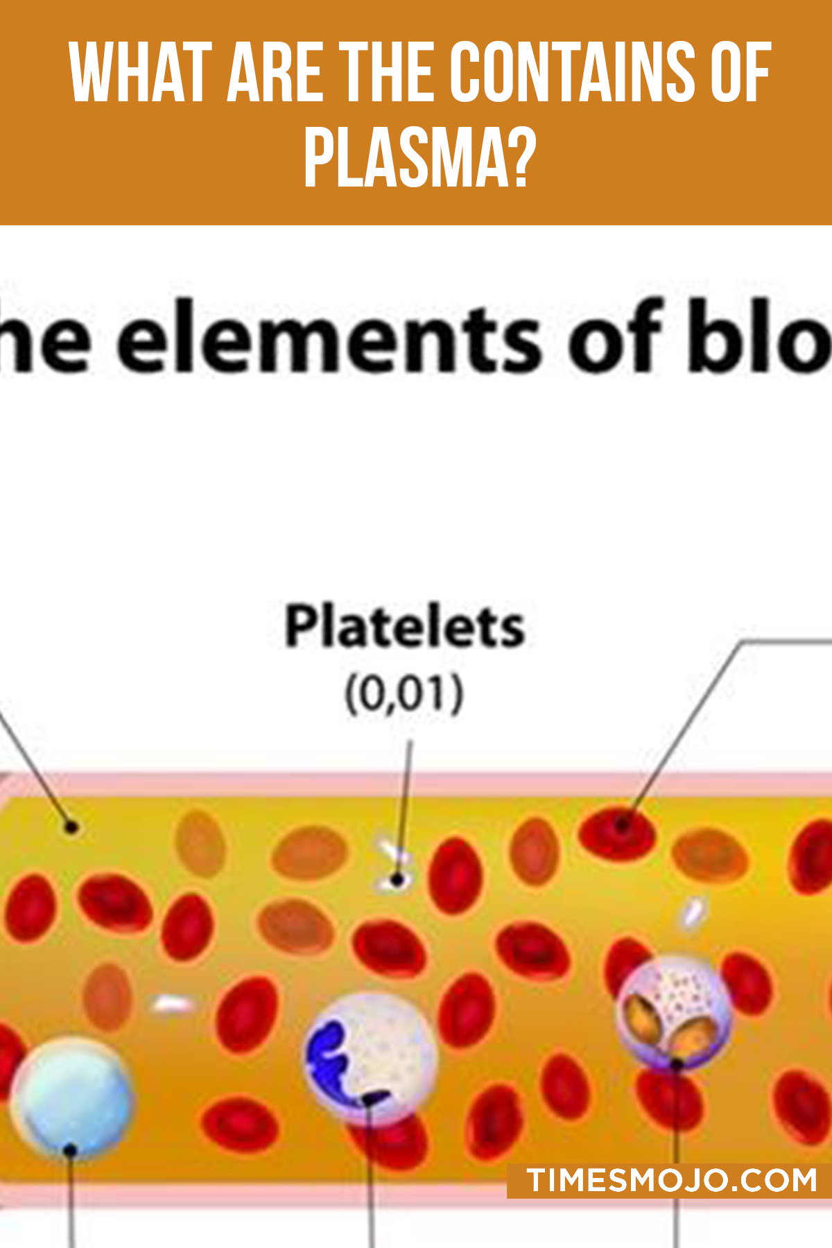 What Are The Contains Of Plasma