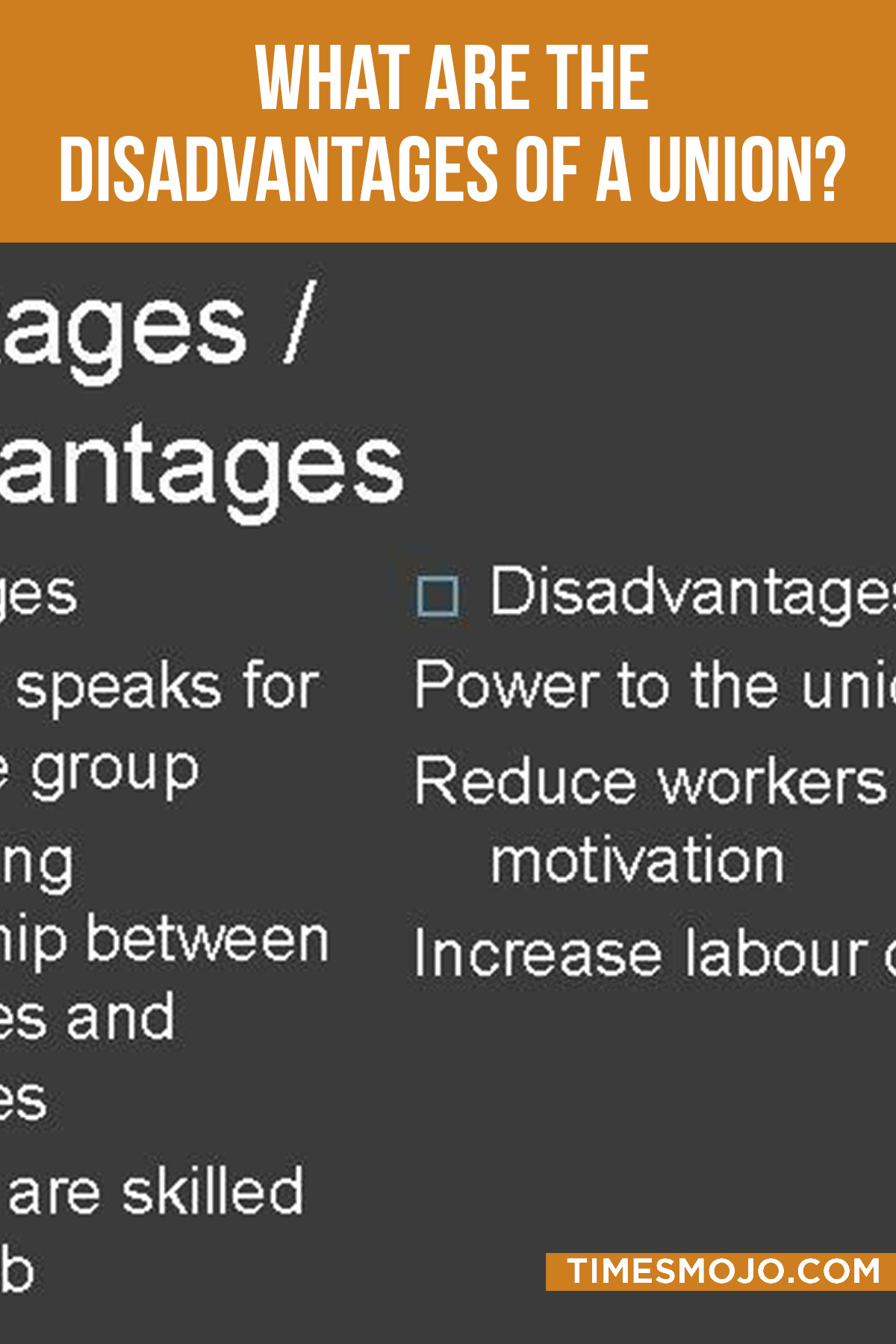 What Are The Disadvantages Of A Union