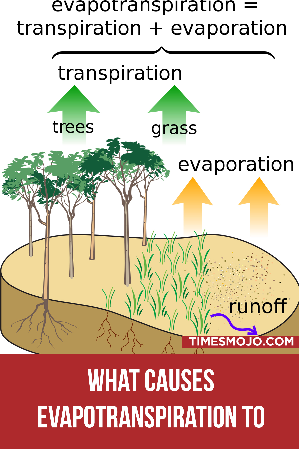 What Causes Evapotranspiration To Decrease