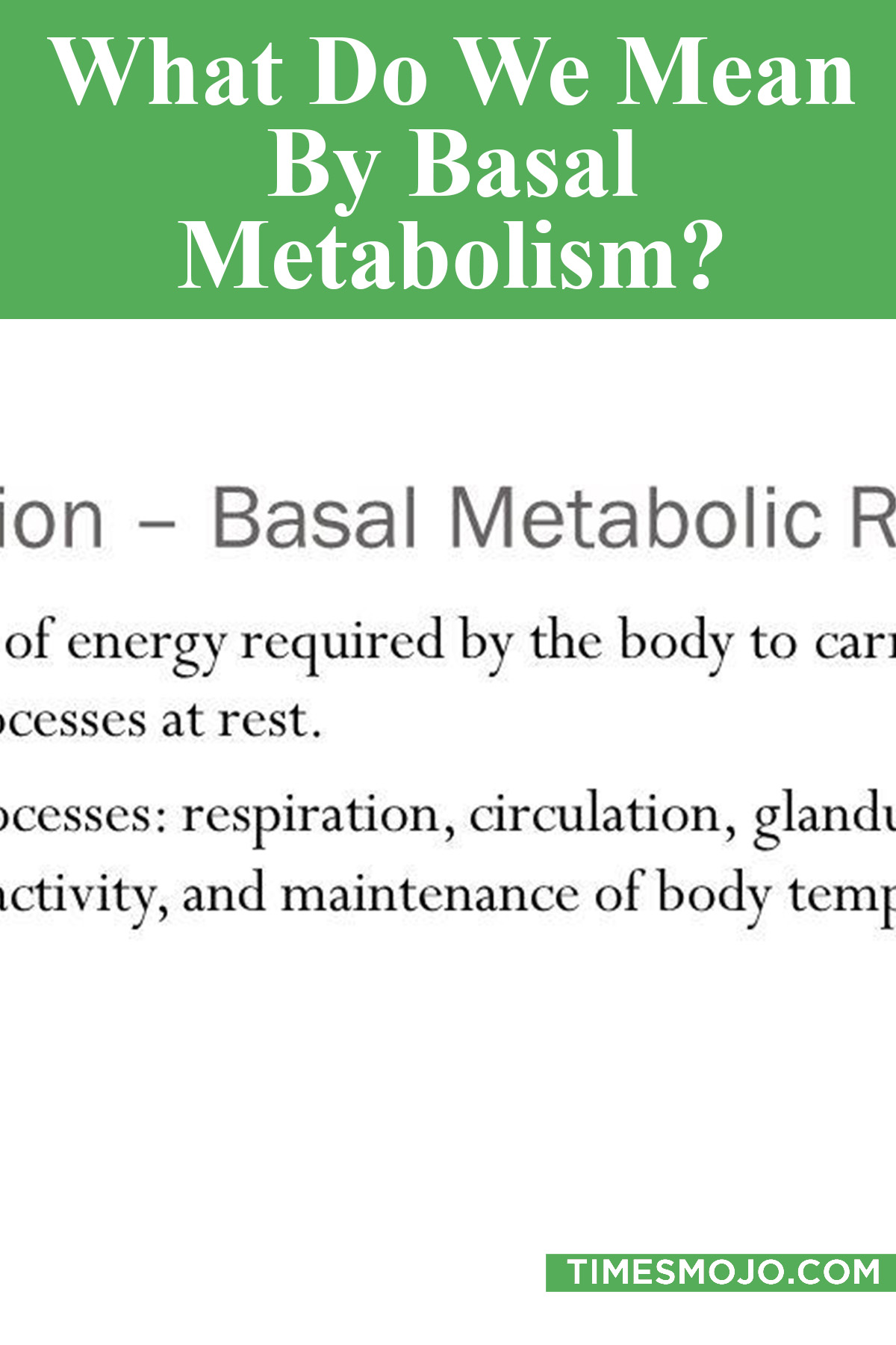 What Do We Mean By Basal Metabolism