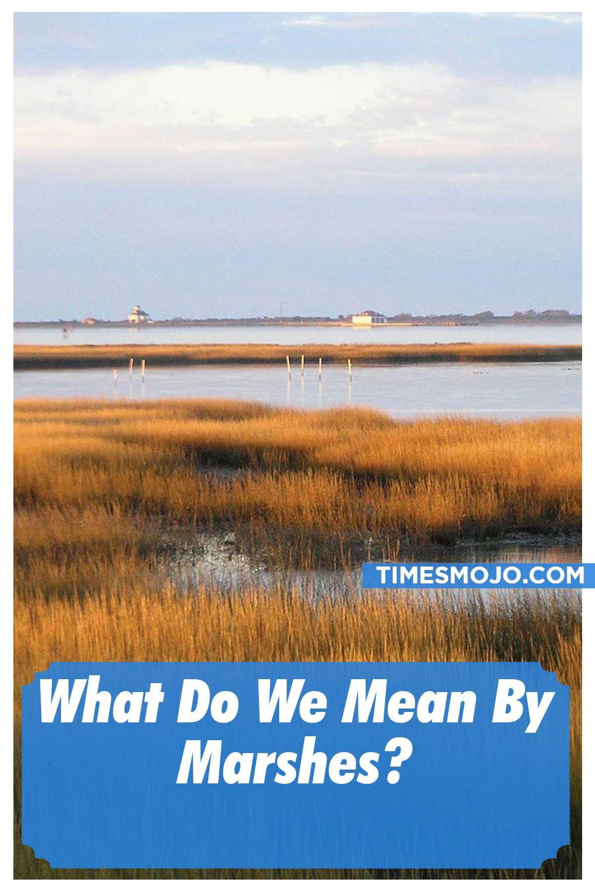 what-do-we-mean-by-marshes-timesmojo