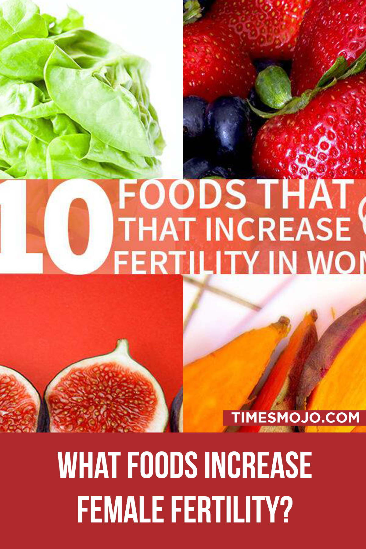 What Foods Increase Female Fertility