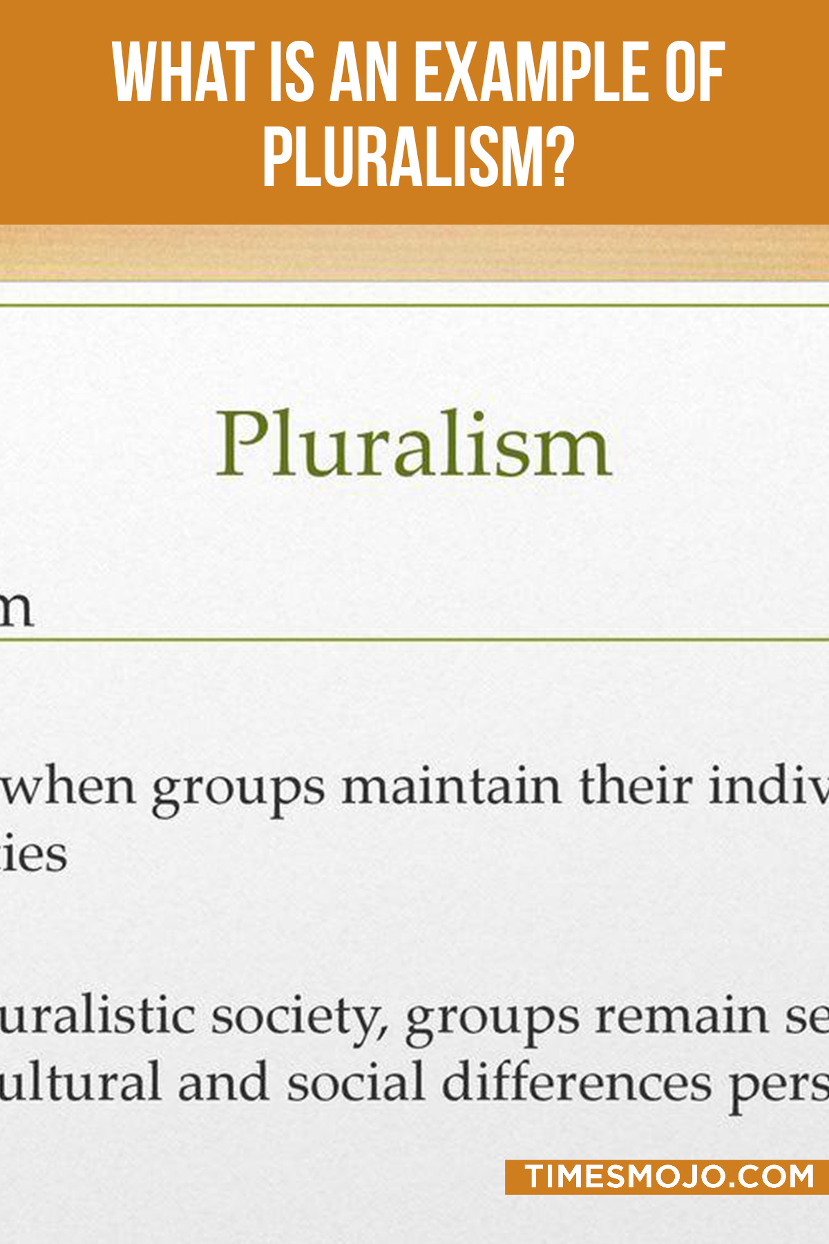 what-is-an-example-of-pluralism-timesmojo