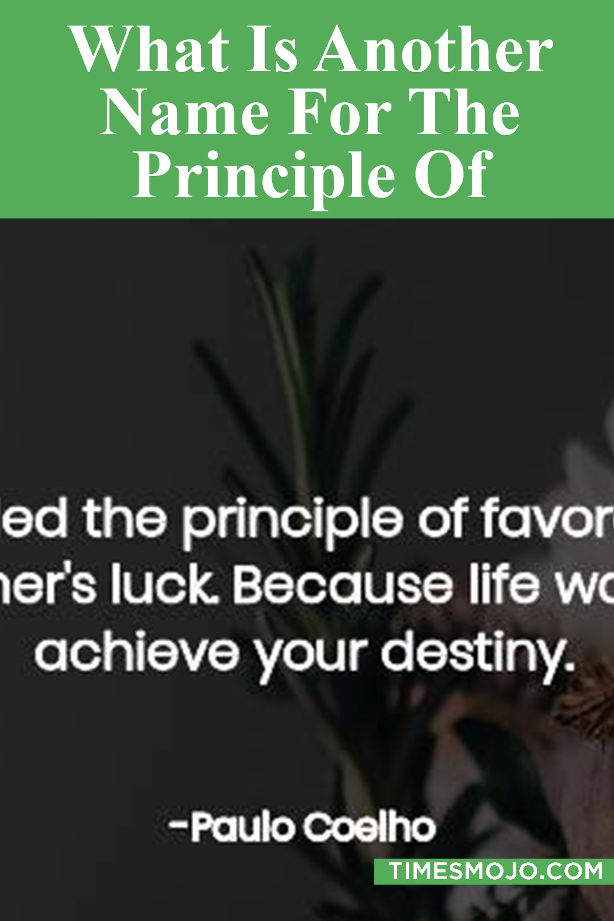 what-is-another-name-for-the-principle-of-favorability-timesmojo