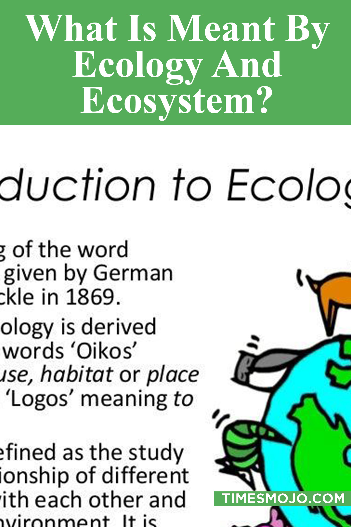 What Is Meant By Ecology And Ecosystem