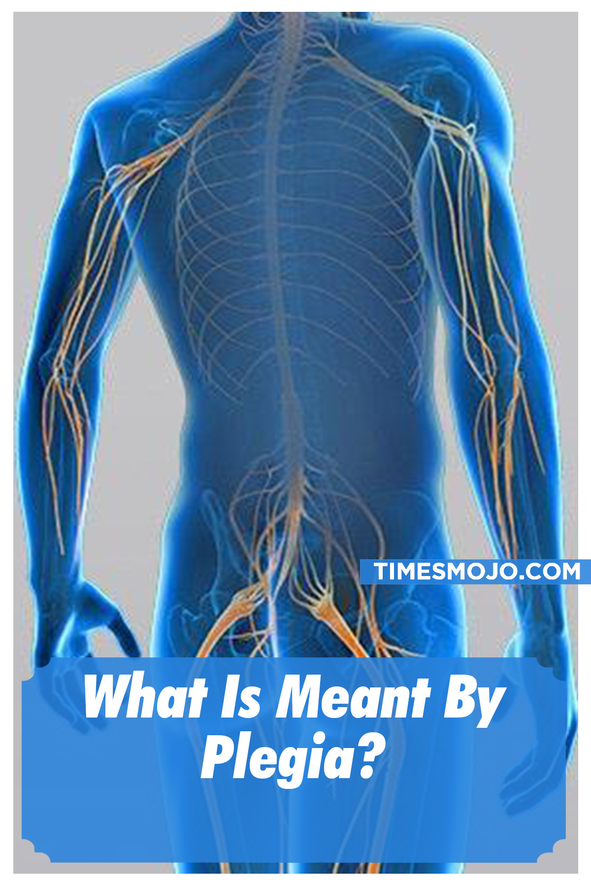 What Is Meant By Plegia