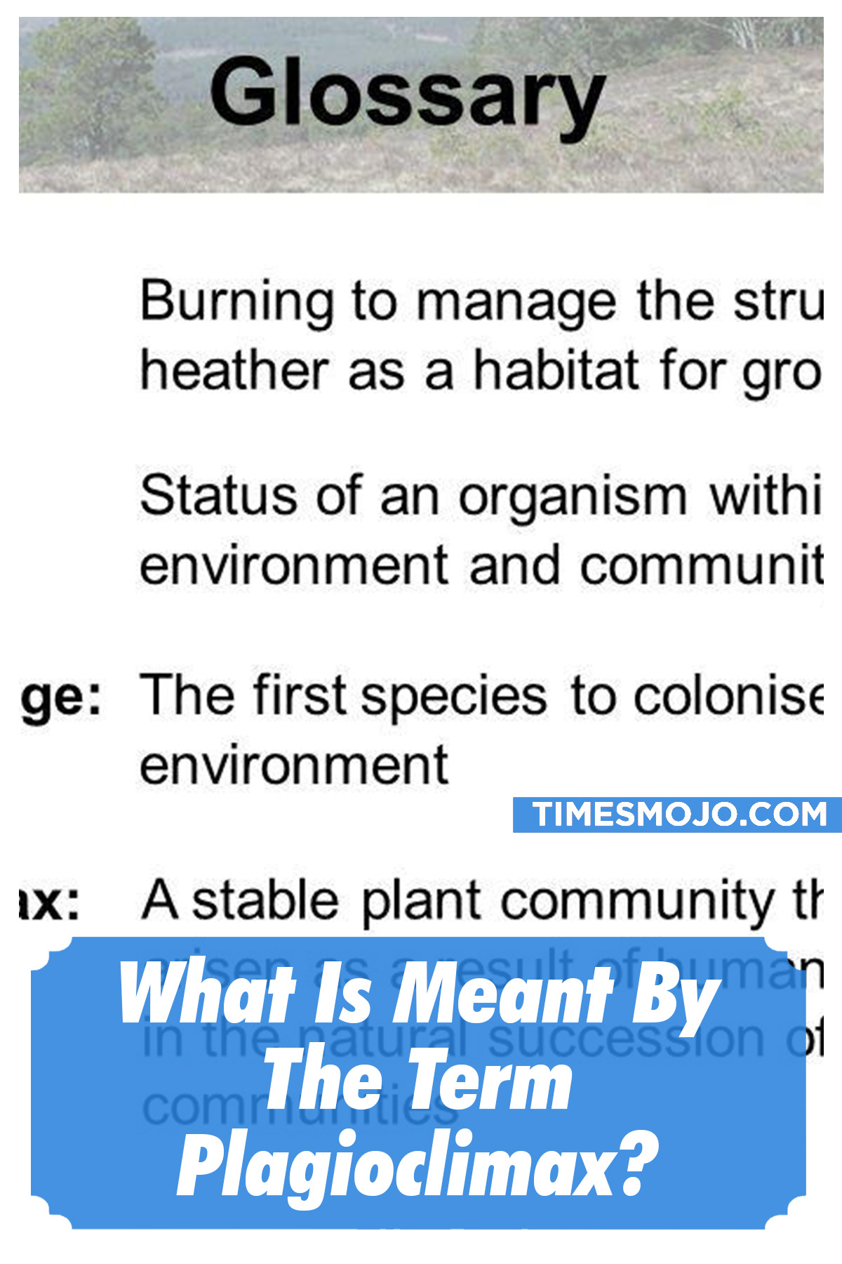 What Is Meant By The Term Plagioclimax