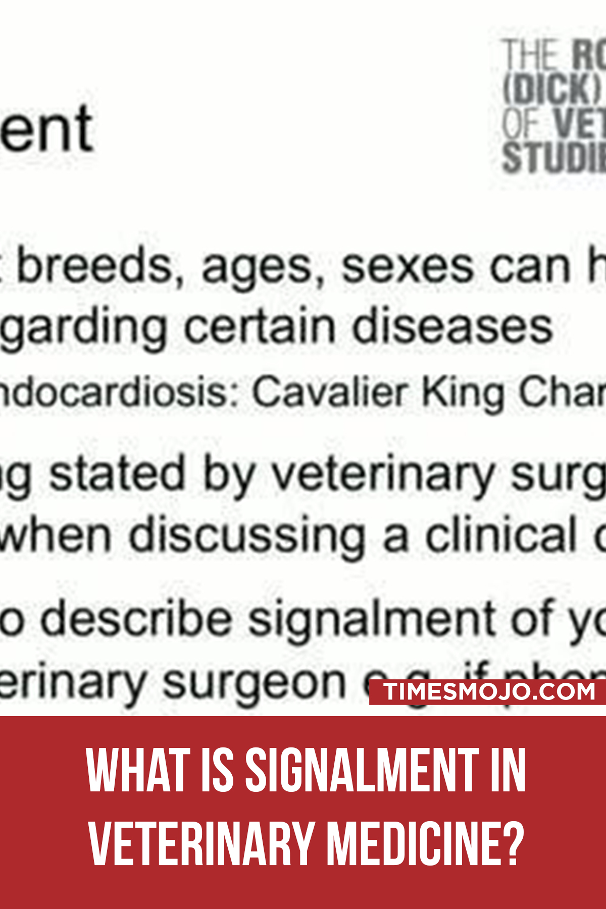 What Is Signalment In Veterinary Medicine