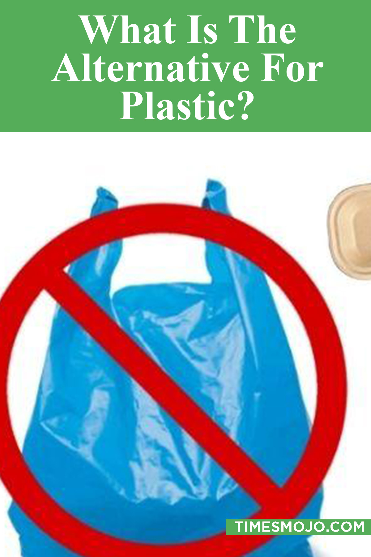 What Is The Alternative For Plastic