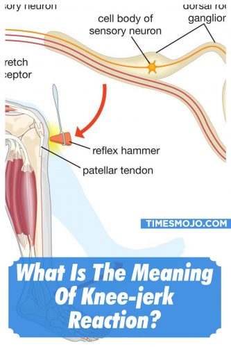 what-is-the-meaning-of-knee-jerk-reaction-timesmojo