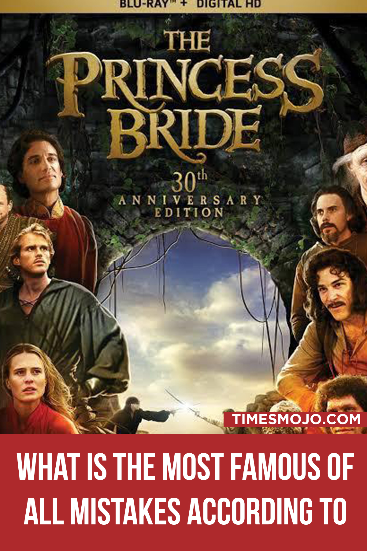 What Is The Most Famous Of All Mistakes According To Vizzini In The Book The Princess Bride