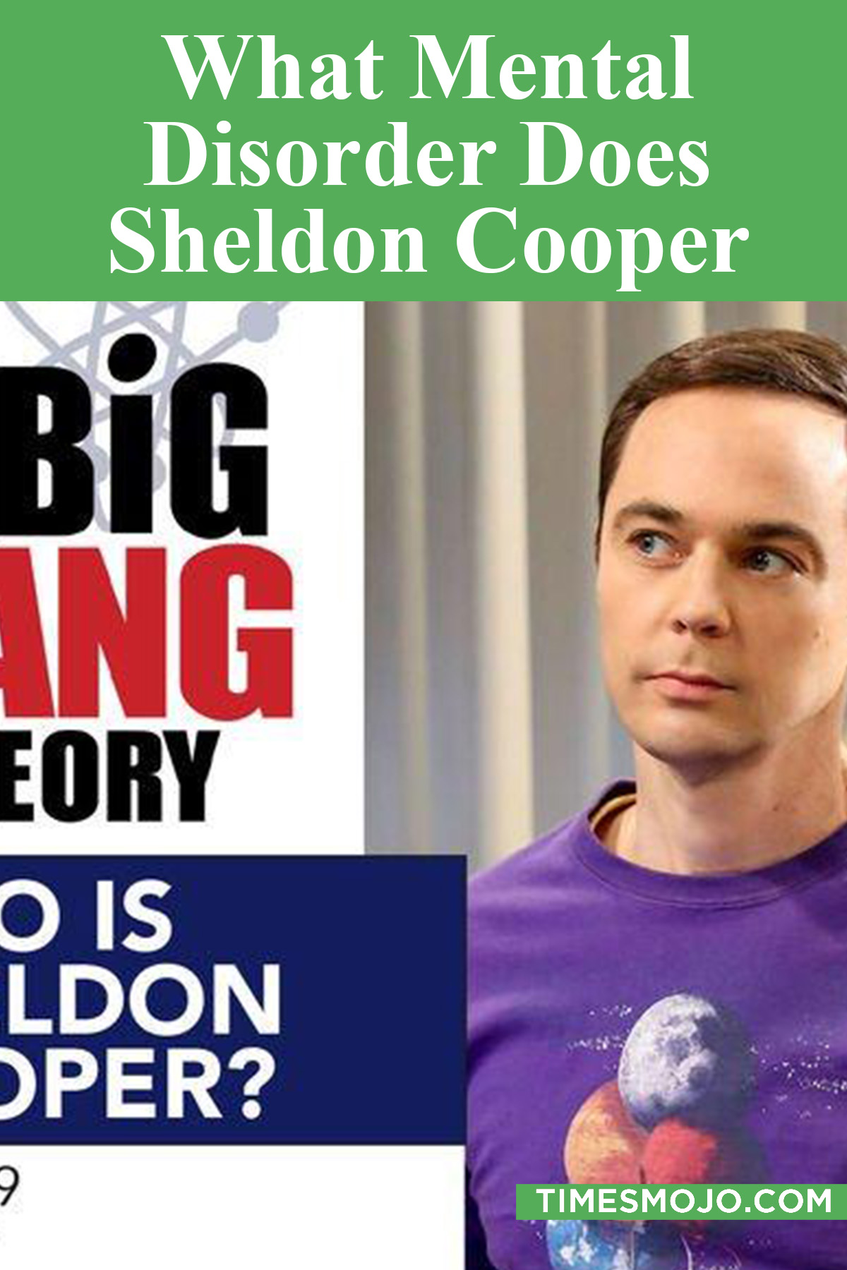 What Mental Disorder Does Sheldon Cooper Have