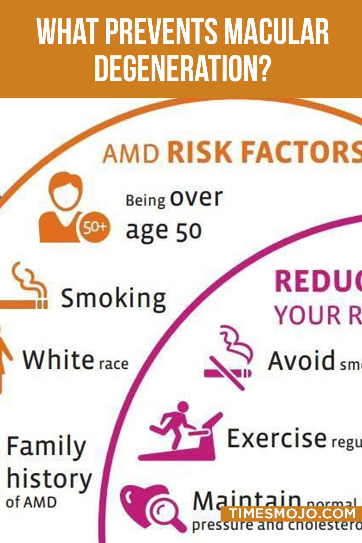 What Prevents Macular Degeneration