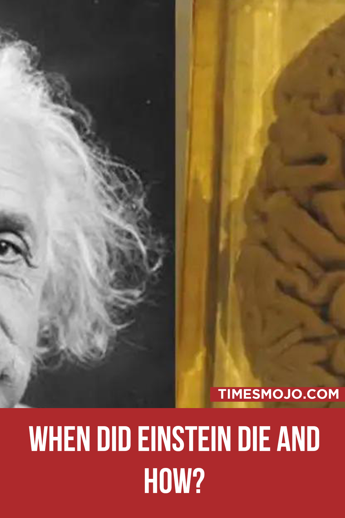 When Did Einstein Die And How