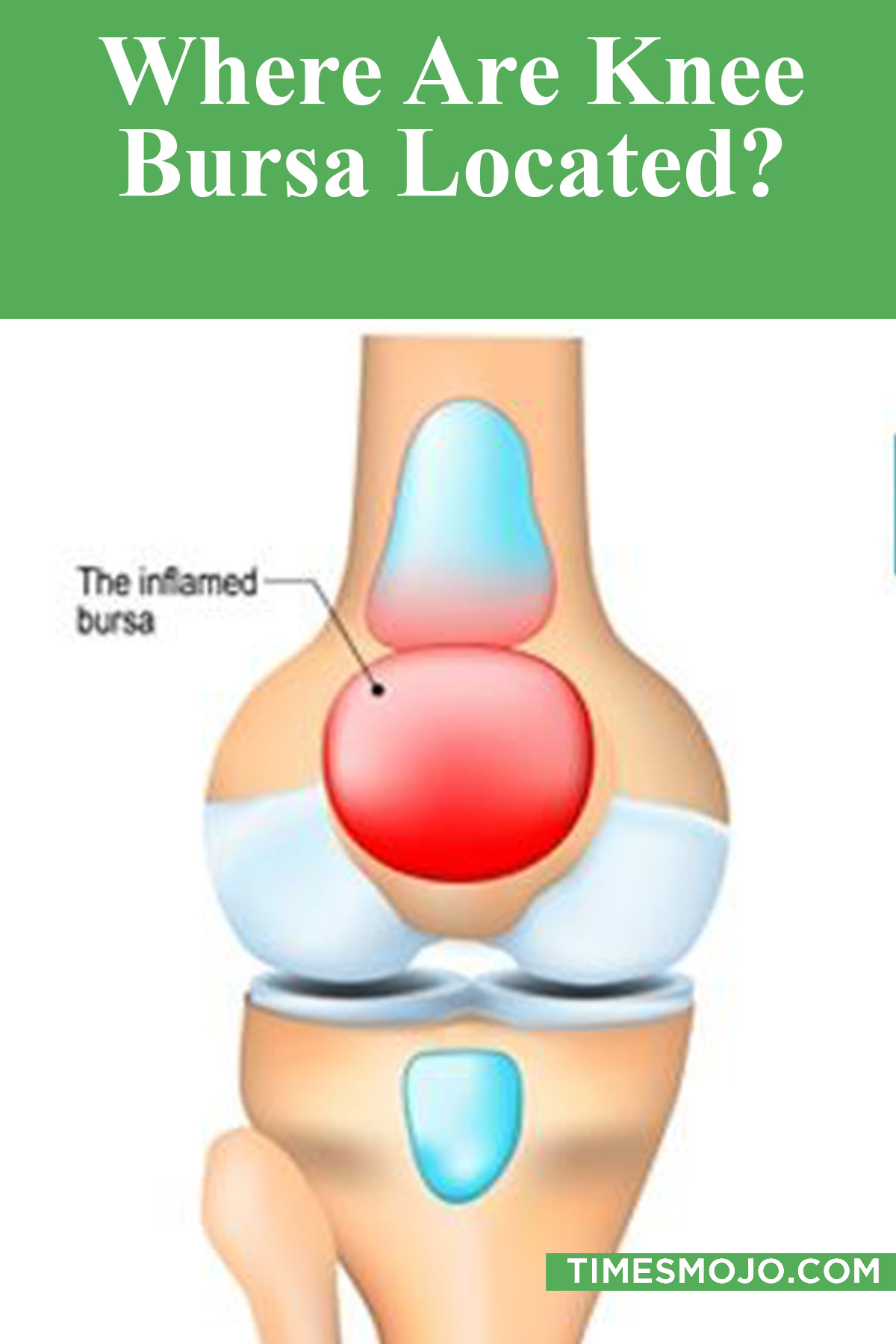 Where Are Knee Bursa Located