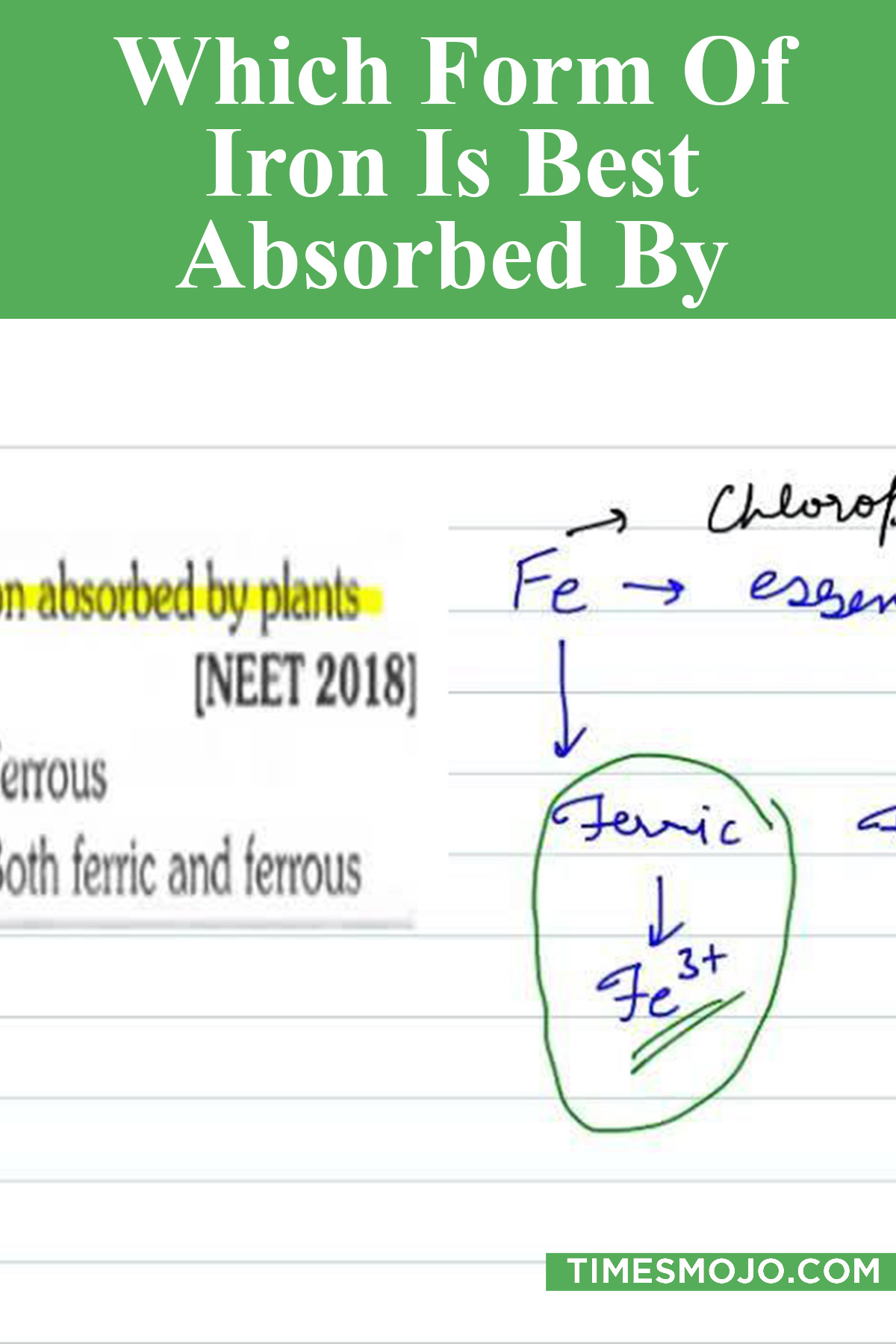 Which Form Of Iron Is Best Absorbed By Plants