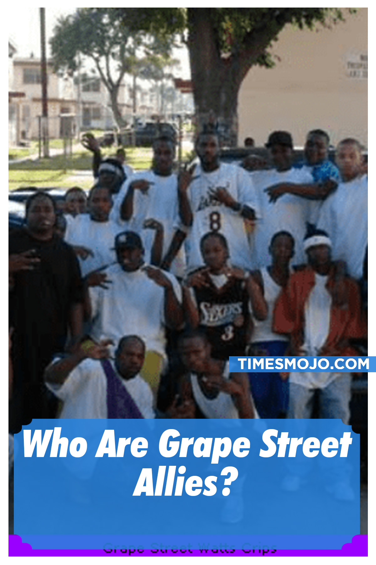 Who Are Grape Street Allies