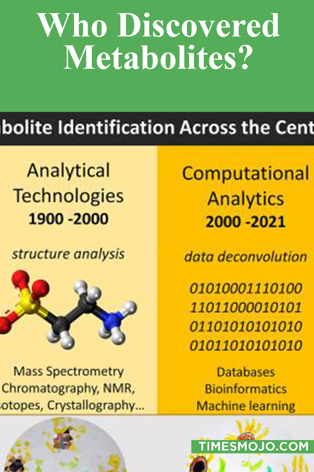 Who Discovered Metabolites