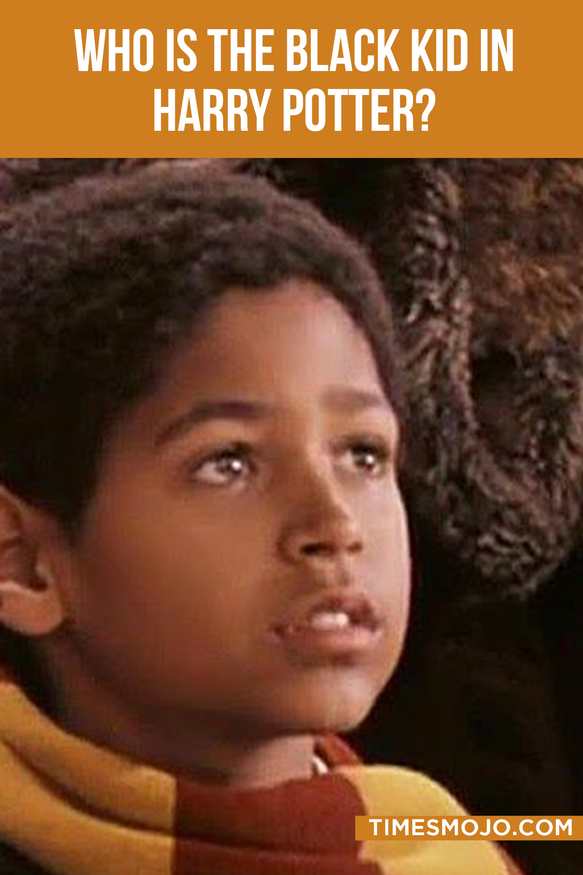Who Is The Black Kid In Harry Potter